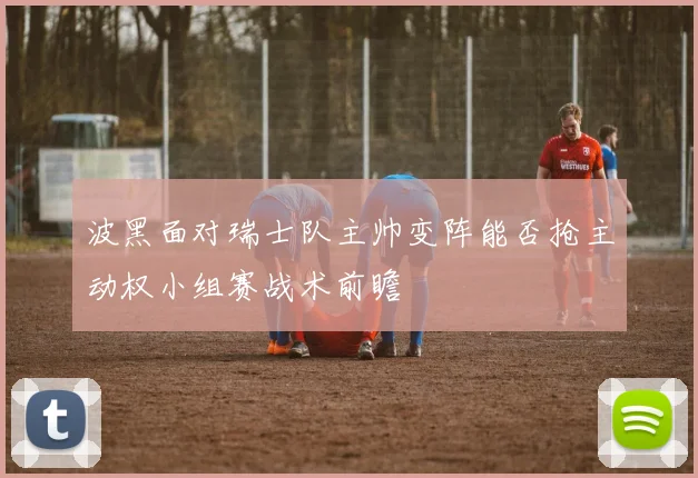 波黑面对瑞士队主帅变阵能否抢主动权小组赛战术前瞻
