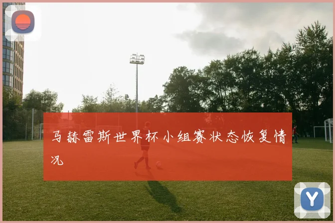 马赫雷斯世界杯小组赛状态恢复情况
