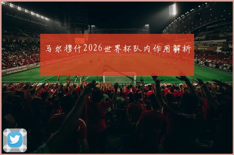 马尔穆什2026世界杯队内作用解析