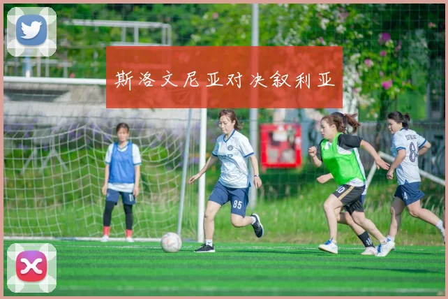 斯洛文尼亚对决叙利亚