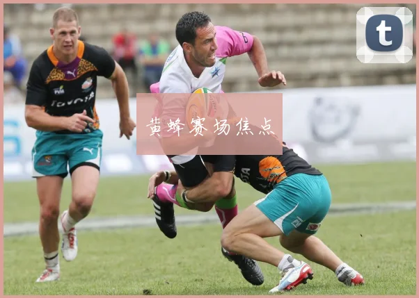 黄蜂赛场焦点