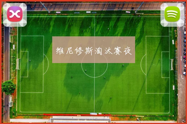 维尼修斯淘汰赛夜
