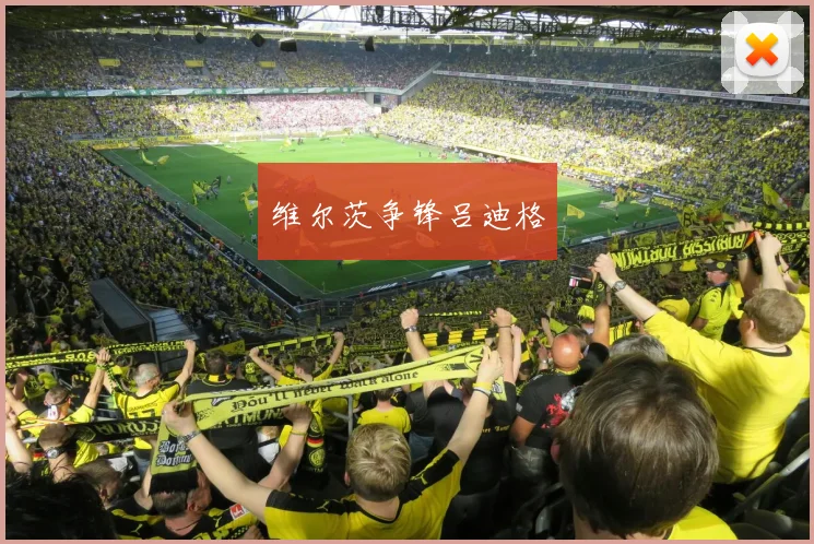维尔茨争锋吕迪格