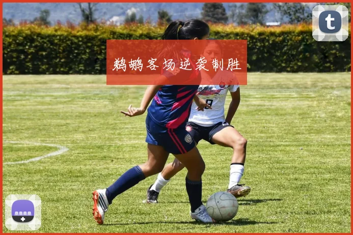 鹈鹕客场逆袭制胜