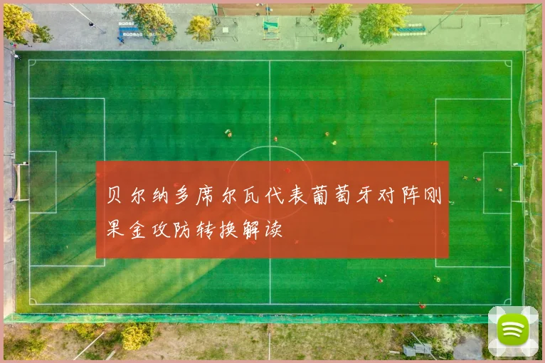 贝尔纳多席尔瓦代表葡萄牙对阵刚果金攻防转换解读