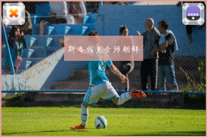 斯洛伐克会师朝鲜
