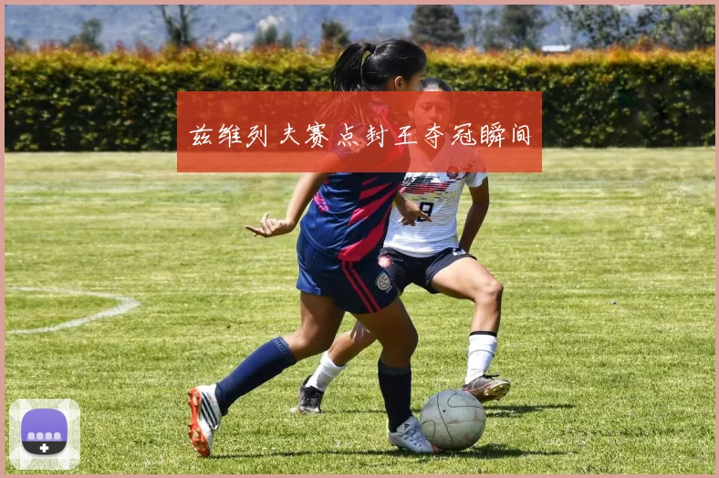 兹维列夫赛点封王夺冠瞬间