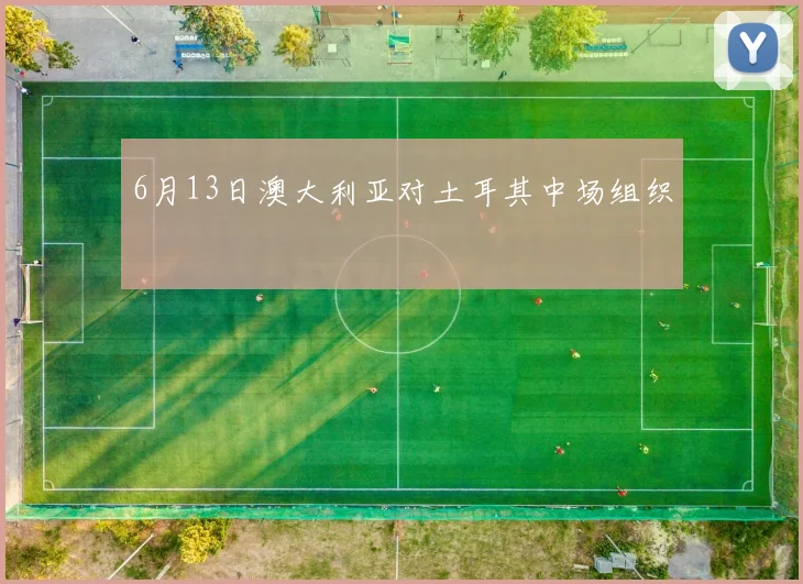 6月13日澳大利亚对土耳其中场组织
