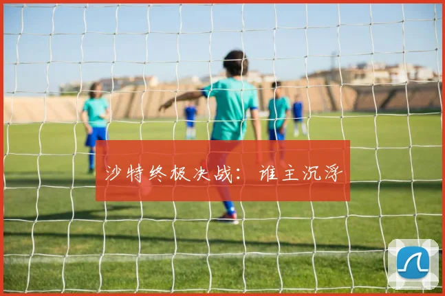 沙特终极决战：谁主沉浮