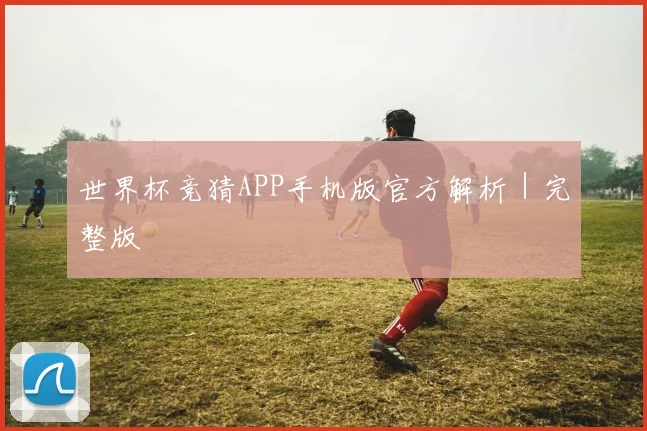 世界杯竞猜APP手机版官方解析｜完整版