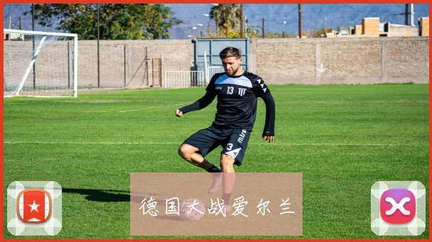 德国大战爱尔兰