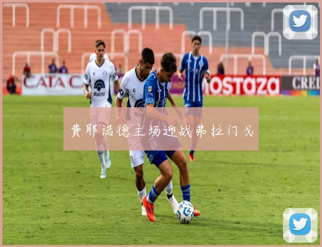 费耶诺德主场迎战弗拉门戈