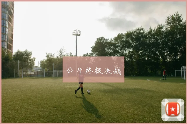 公牛终极决战