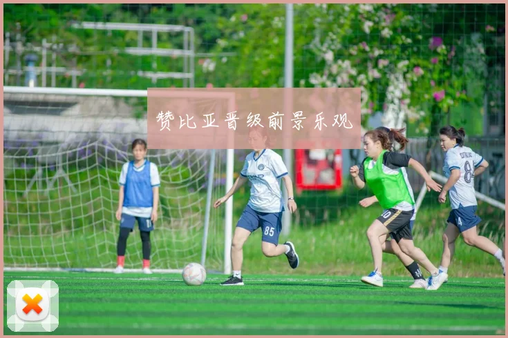 赞比亚晋级前景乐观
