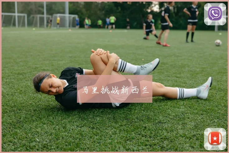 马里挑战新西兰