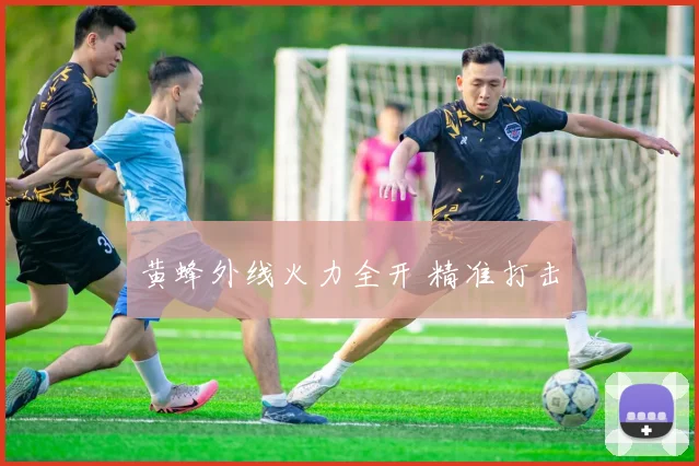 黄蜂外线火力全开 精准打击