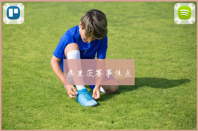 弗里茨赛事焦点