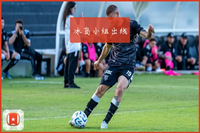 冰岛小组出线