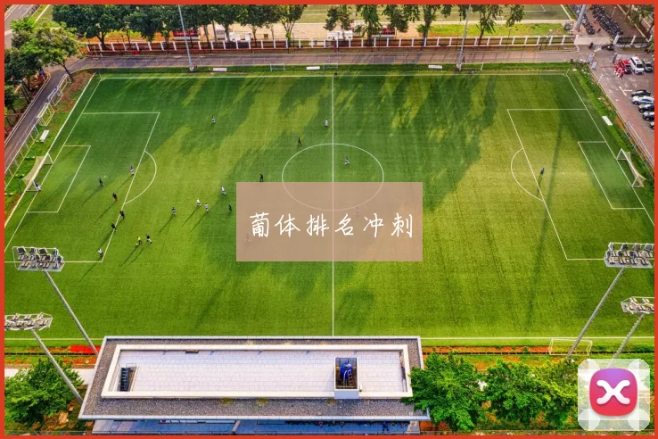 葡体排名冲刺
