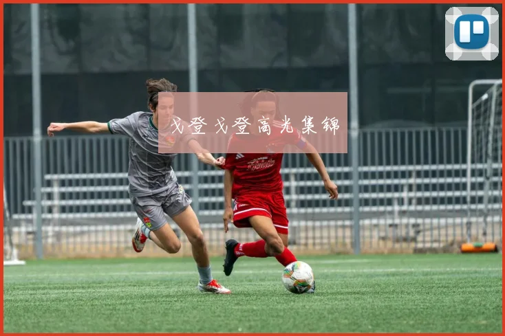 戈登戈登高光集锦