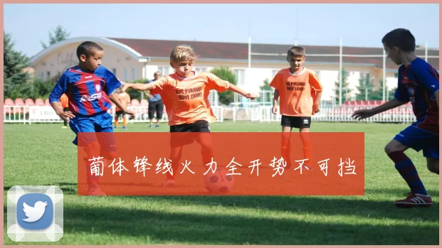 葡体锋线火力全开势不可挡