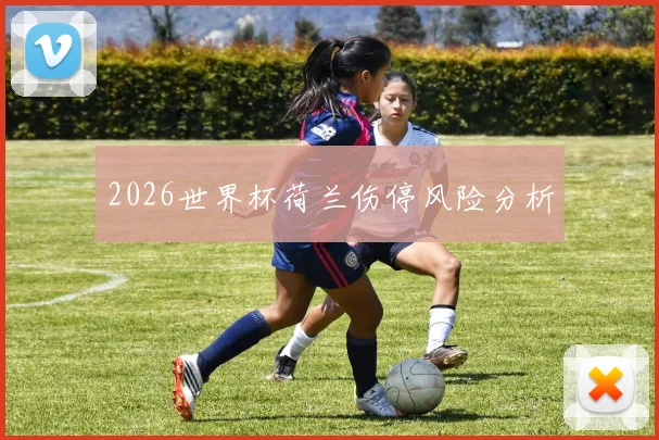 2026世界杯荷兰伤停风险分析
