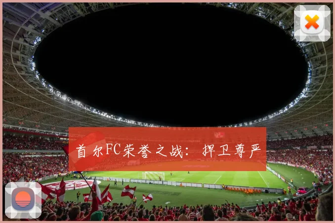首尔FC荣誉之战：捍卫尊严