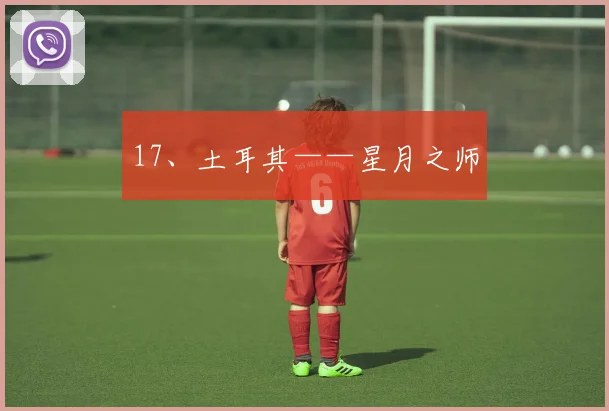 17、土耳其——星月之师
