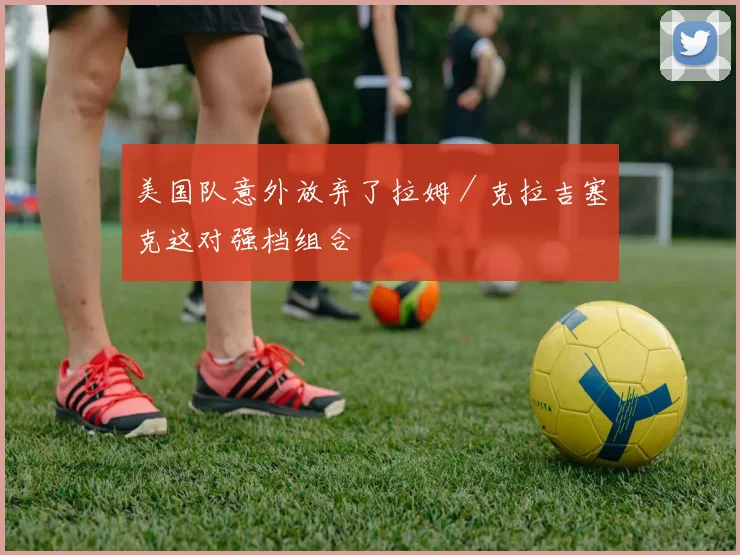 美国队意外放弃了拉姆／克拉吉塞克这对强档组合