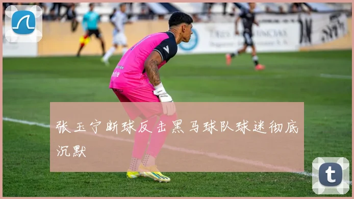 张玉宁断球反击黑马球队球迷彻底沉默