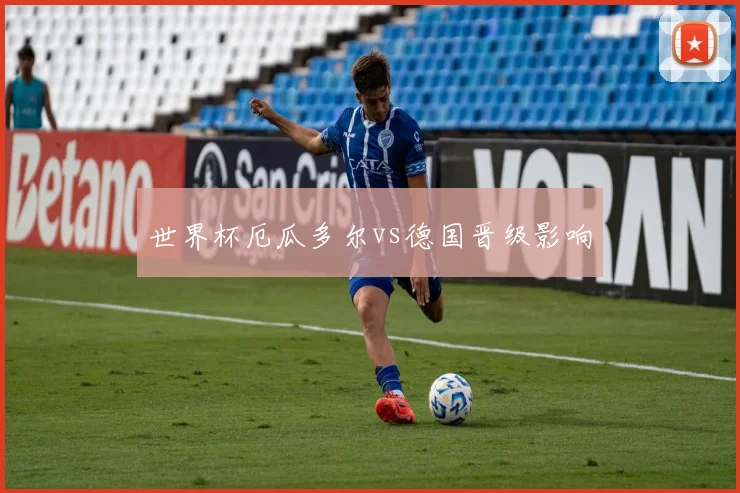 世界杯厄瓜多尔vs德国晋级影响