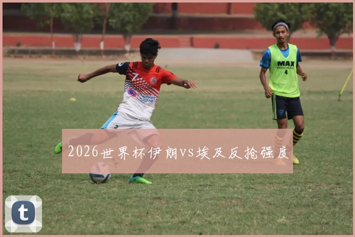 2026世界杯伊朗vs埃及反抢强度