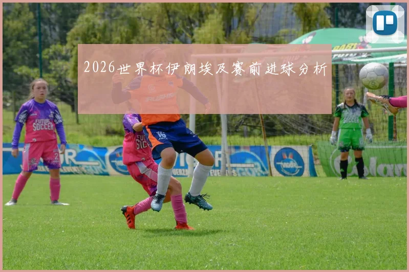 2026世界杯伊朗埃及赛前进球分析