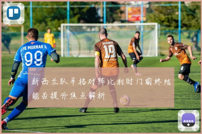 新西兰队辛格对阵比利时门前终结能否提升焦点解析
